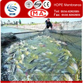 0.2-3.0mm HDPE Fish Water Pond Liner Geomembrane with Waterproof Materials